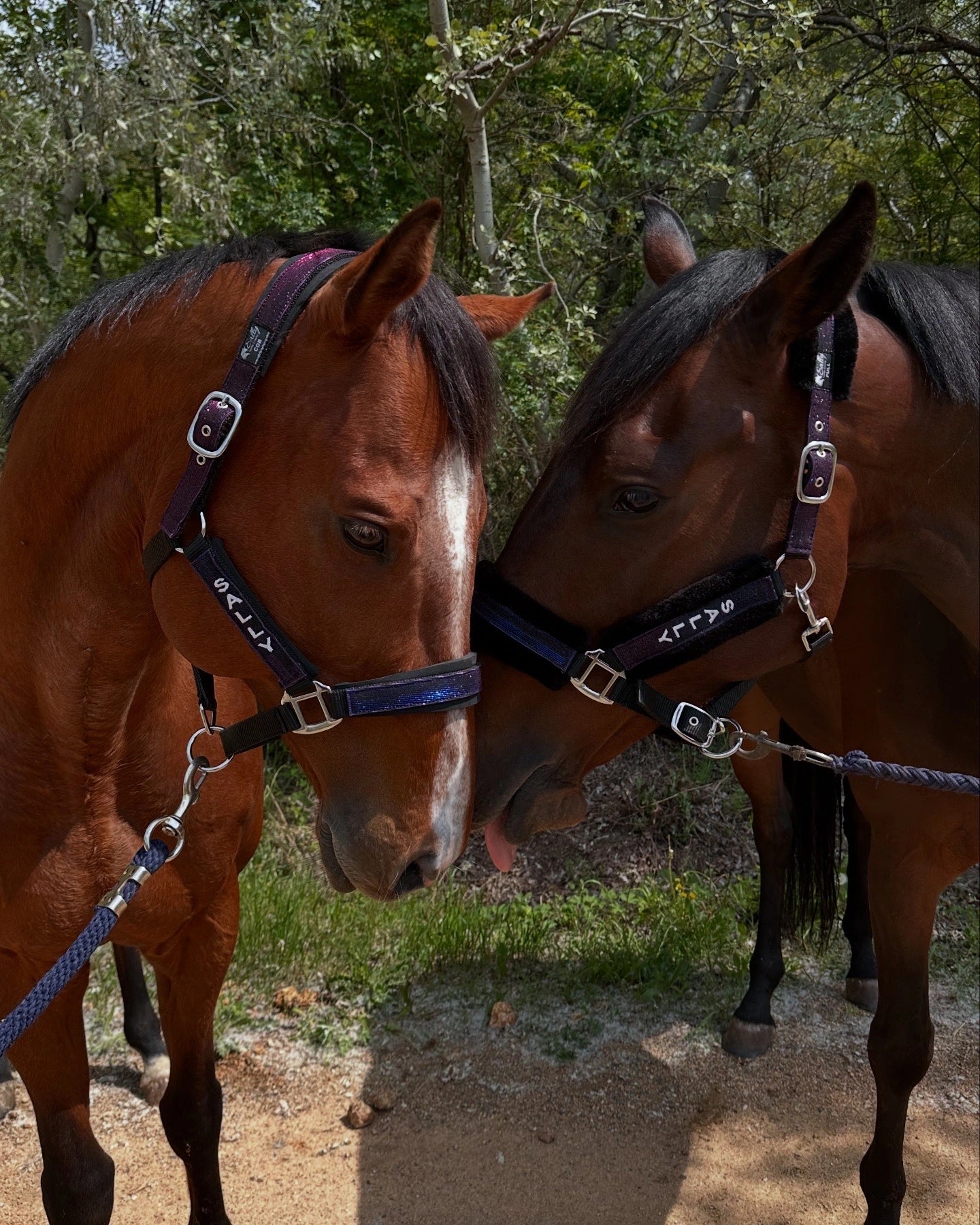Színváltós "stardust" kötőfék