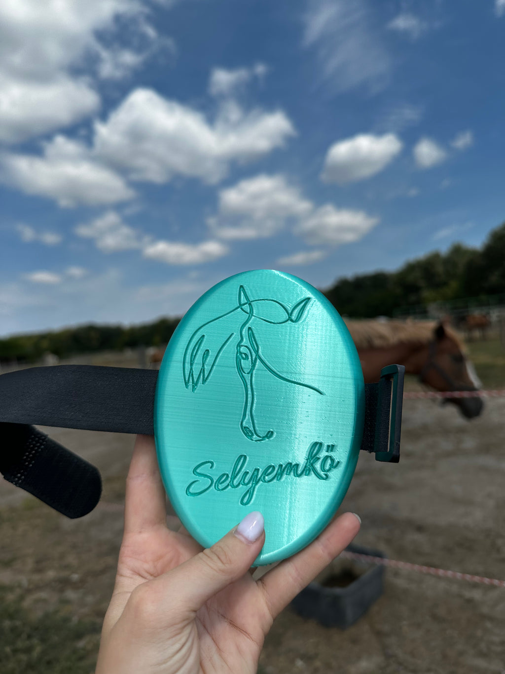 Személyre szabható lóvakaró