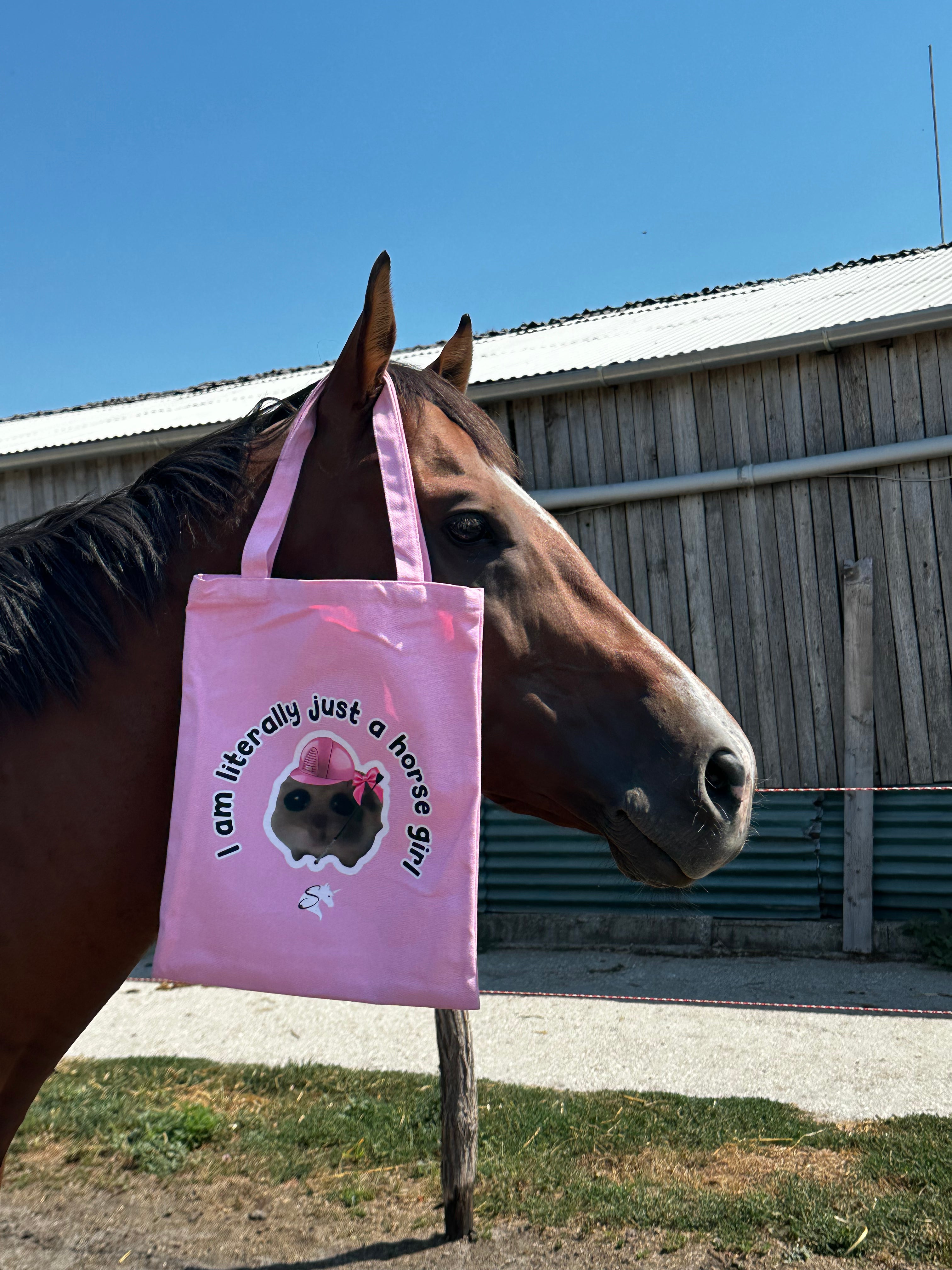 Hamster meme pink canvas bag