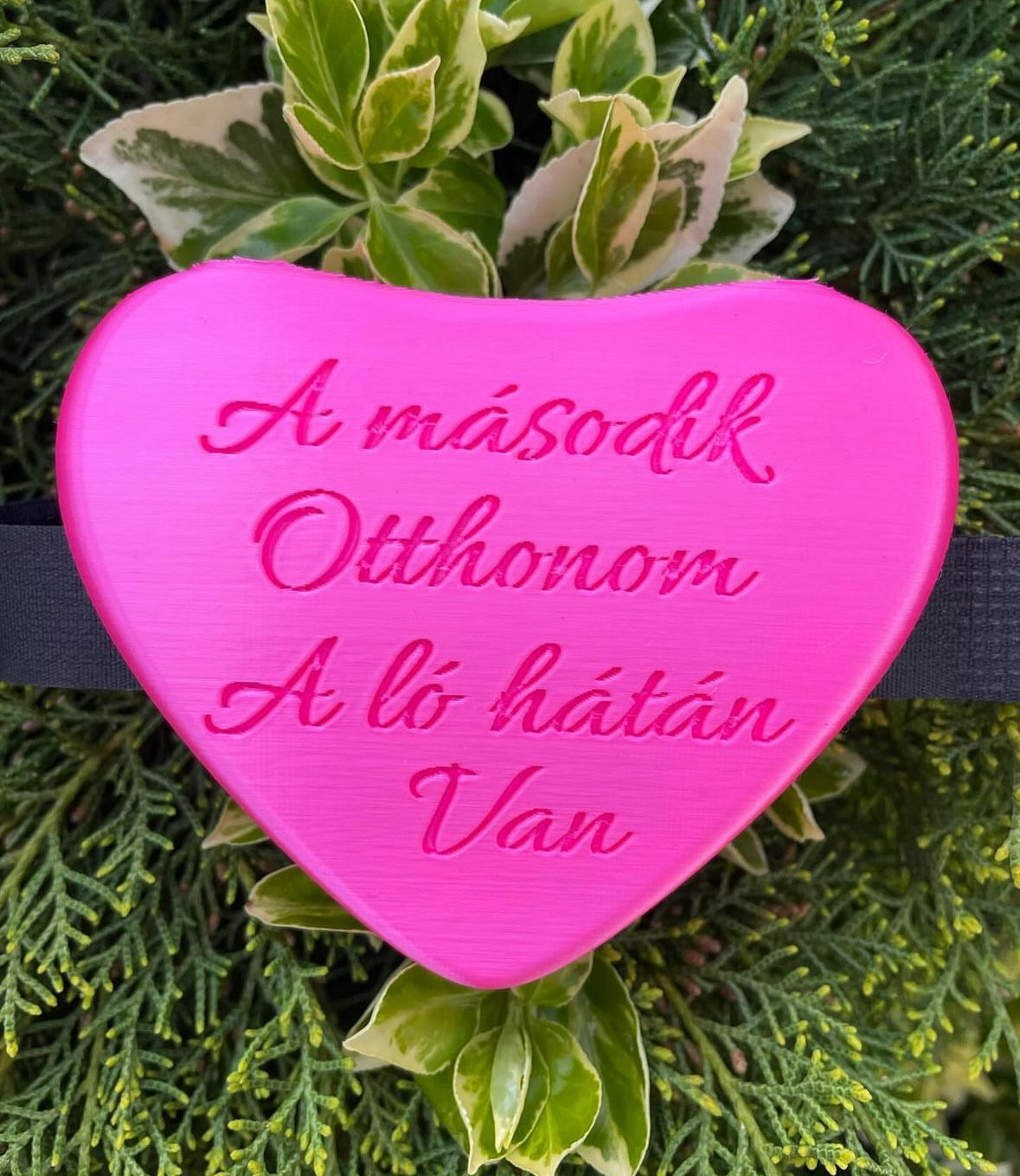 💗 Személyre szabható szív formájú lóvakaró – egyedi ajándék lovasoknak!