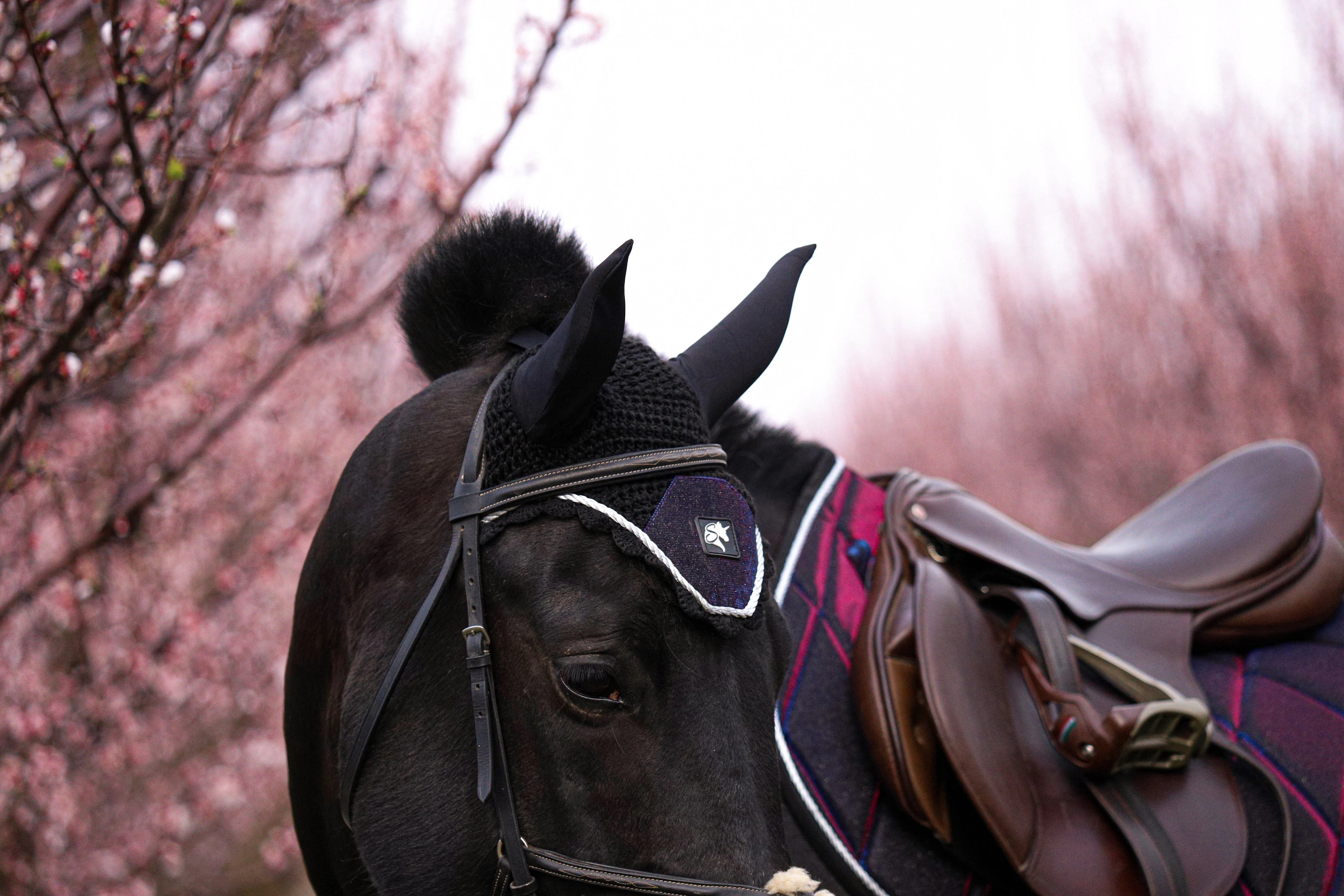 Színváltós "Startdust" Classic fülvédő